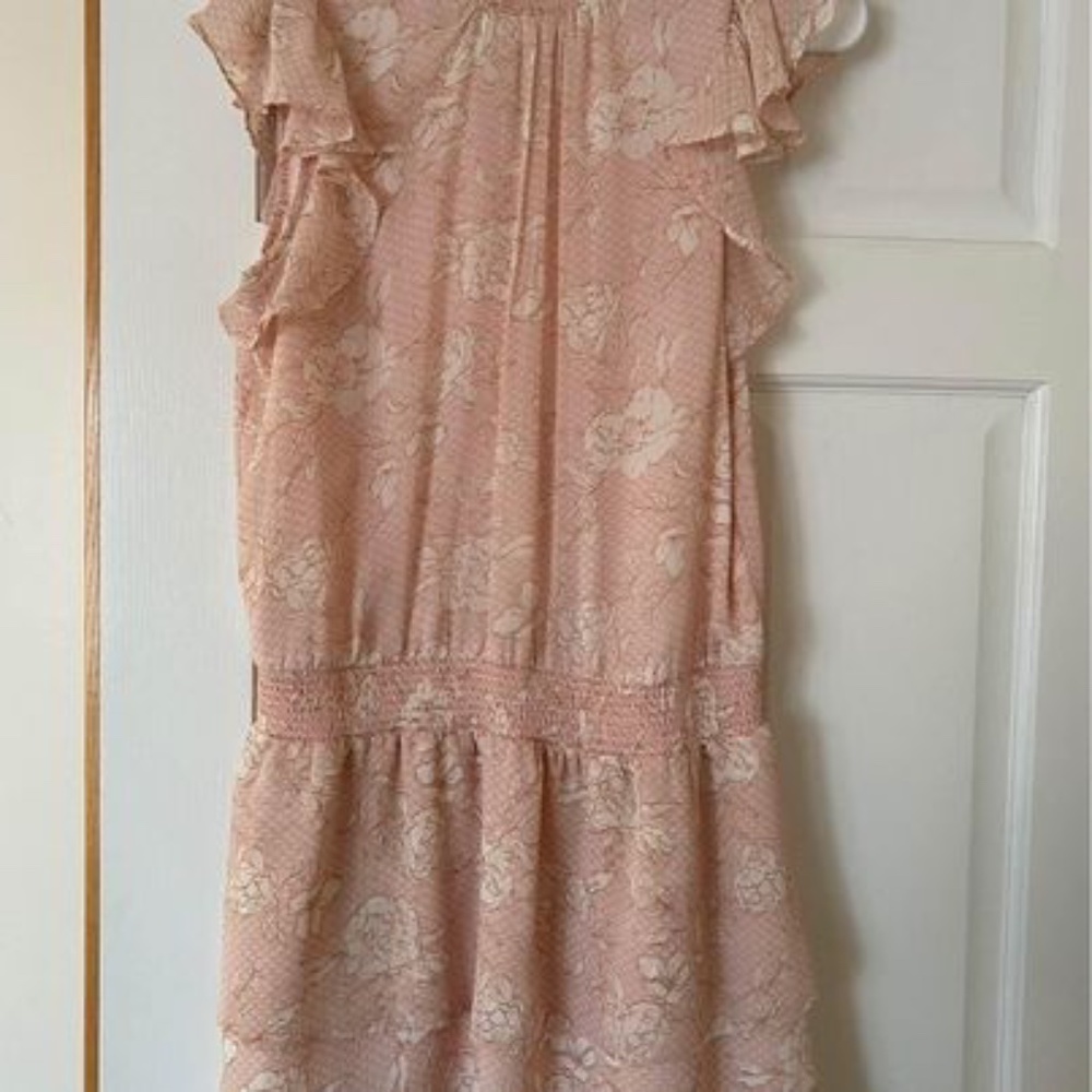 Express Drop Waist Dress